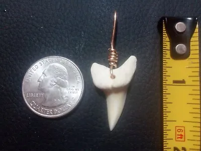 Modern Mako Shark Tooth Pendant With Gold Filled Hand Wrap • $13.99