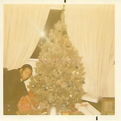 FOUND CHRISTMAS TREE PHOTOGRAPH Color ORIGINAL Snapshot VINTAGE 312 55 H • $12.99