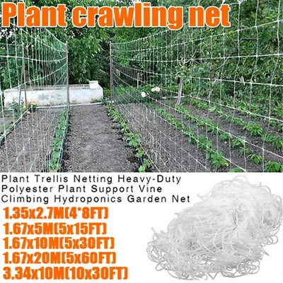 £6.07 • Buy Plant Support Netting Fruit Climbing Mesh Garden Vegetable Pea Bean Grow Fence