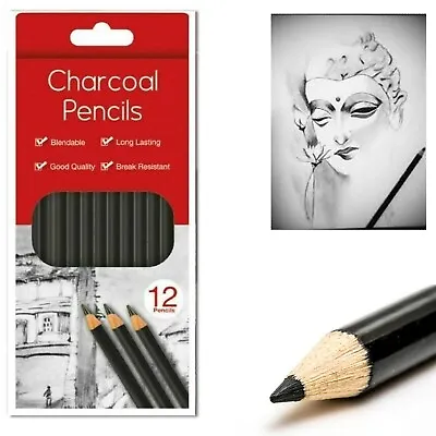 12 Charcoal Pencils Work Of Art Long Lasting/Blend Able Drawing Pencils Sketch  • £2.99