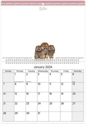 2024 Calendar - Memo Board Family Organiser Month To View Wall Hanging Planner • £5.99