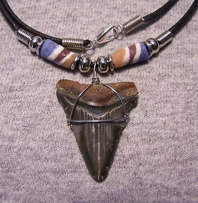 Megalodon Shark Tooth Necklace 1 3/8  Sharks Teeth Large Fossil Jaw Scuba Diver • $16