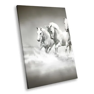 White Horses Black Grey Portrait Animal Canvas Wall Art Large Picture Prints • £64.99