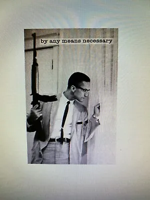 Malcolm X By Any Means Necessary 24x36 Poster Political Figure Icon Blm Activist • $17.99
