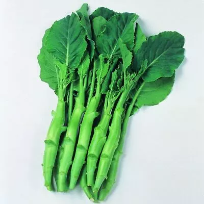 Chinese Broccoli Kailaan 100 Seeds Autumn Winter Vegetable Garden Easy Grow COOL • $4.99