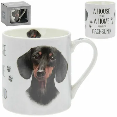 Fine China Cute DACHSHUND Mug Ideal Gift For Sausage Dog Lovers Daschund Boxed • £8.50