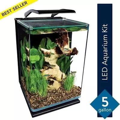 Glass Aquarium Fish Tank Kit 5 Gallon Water Tank LED Light Hidden Filtration NEW • $104.97