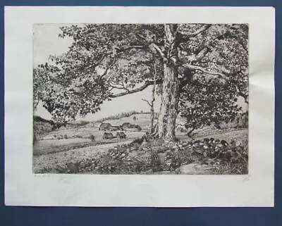 WALTER R. LOCKE (1883-1949) Landscape Etching Early 1900's  Red Oak   • $249.90