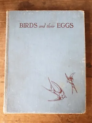 £5 • Buy Birds And Their Eggs By J. Abbey 1949 1st Edition Hardback