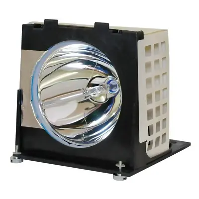 Mitsubish 915P020A10 Rear-Projection TV Lamp • $30