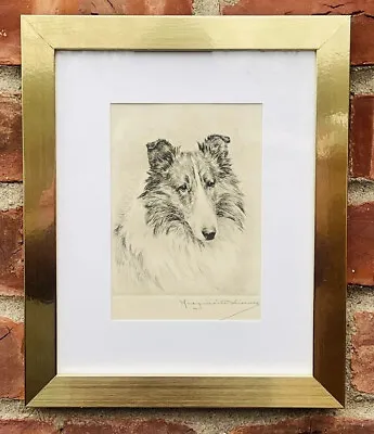 1930’s Signed Collie Dog Drypoint Etching. Dog Portrait Artist Marguerite Kirmse • $262.50