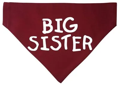Big Sister Dog Bandana Family Birth Announcement Neckerchief Kerchief Neckwear • $18.99