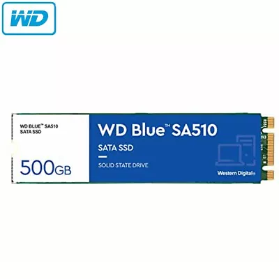 SSD WD Blue SA510 250GB 500GB 1TB M.2 2280 Solid State Drive Up To 560MB/s • $105.95