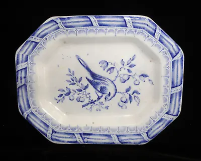 Pearlware Childs Miniature Toy Platter ASIATIC BIRD Meigh Staffordshire C1835 • $45