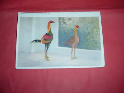 Old English Game Fowl Modern Game Post Card 1912 Feathered World Af Lydon Origin • £17.80