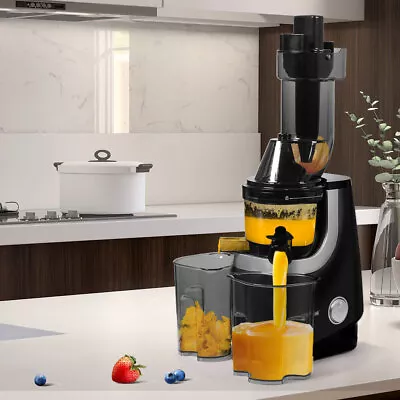 Spector Slow Juicer Cold Press Whole Fruit Juice Extractor Vegetable Processor • $139.99