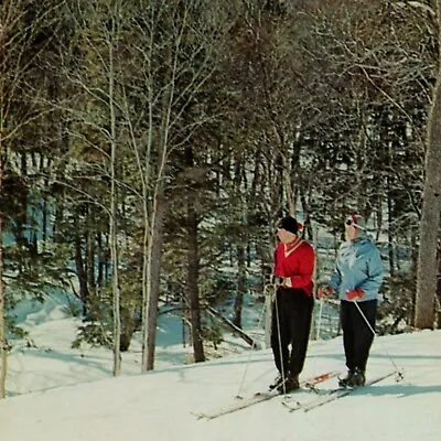 People Skiing Snow Mount Mt. Mansfield Ski Area Stowe Vermont VT Postcard • $7.77