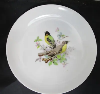Mottahedeh Bird Plate (292) • $9