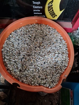 £5 • Buy Coloured Aquarium Fish Tank Gravel Stones Substrate 