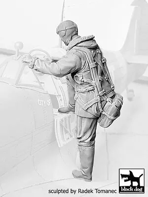 Black Dog 1/32 British RAF Fighter Pilot #7 1940-1945 Climbing Into Plane F32077 • $25.32