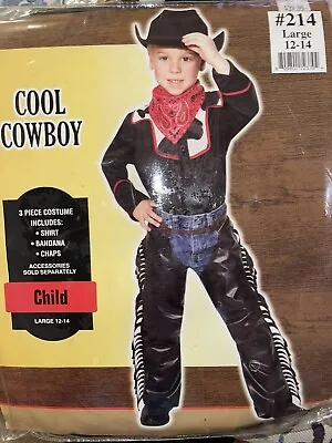 Cool Cowboy Costume Child M(8-10)/ L(12-14) • $12.99