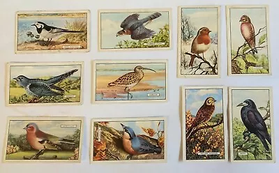 Gallaher British Birds 10 Cards From A Set Of 48 • £2