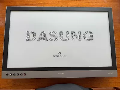 Dasung Paperlike 253 E-Ink Monitor - Dark Knight W/Front Light • $1500