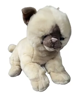 E&J Classic Cuddle Zone Cat Plush 22  Stuffed Animal Birman Siamese HimalayanNWT • $18.49