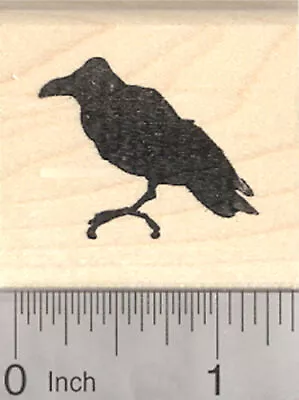 Raven Rubber Stamp Silhouette Crow Blackbird D25516 WM • $14