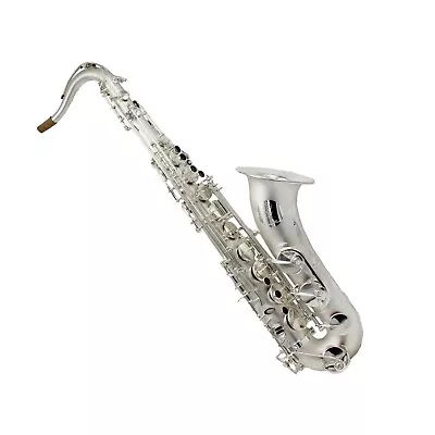 Pro New Satin Silver Plated Tenor Saxophone Tenor Sax R54 Type By Eastern Music • $559