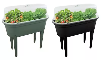 Raised Planter Box With Legs Outdoor Garden Bed For Vegetable Flower Herbs Patio • £37.99