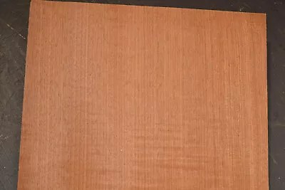 Makore Raw Wood Veneer Sheet  11 X 24 Inches 1/42nd Thick                 6776-9 • $7.49