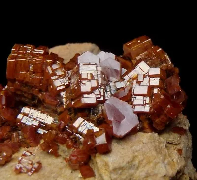 VANADINITE Beautiful RED Lustrous Crystals ! MOROCCO Mibladen /ph612 • $39.99