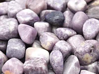 Lepidolite Tumbled Gemstones - Bulk Wholesale Options - 1 LB • $2.99