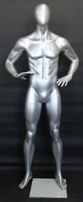 New! 6 Ft 3 In H Matte Silver Male Egg Head Mannequin Muscular Body Form SFM62ES • $329.95