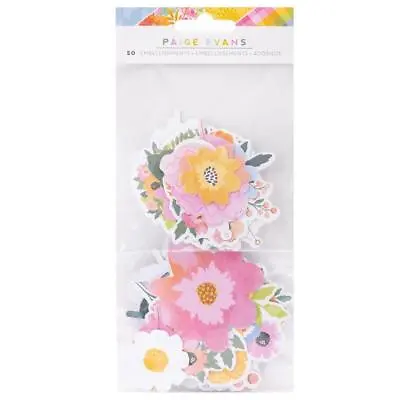Paige Evans Garden Shoppe Floral Ephemera Cardstock Die-Cuts  50pc • $10.49