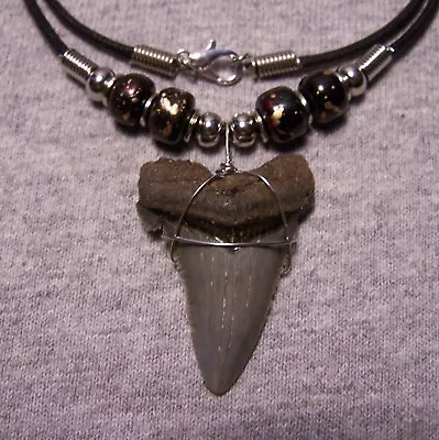 Megalodon Shark Tooth 1 5/8  Necklace Sharks Teeth Large Fossil Diver Gem Color • $20