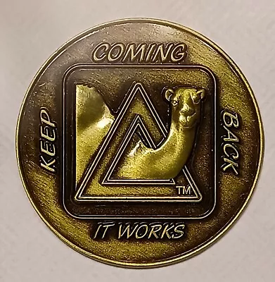 AA Camel Keep Coming Back AA Bronze Recovery Coin Medallion Affirmation Chip • $4.50