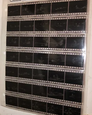 £84.15 • Buy South Jersey Beach Babes 35 ORIGINAL 35mm Kodak Black & White Negatives 1983