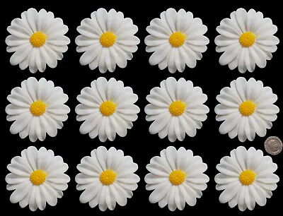 12 Edible 3D Extra Large Daisies Daisy Flowers Cupcake Cake Toppers Decorations • £9.99