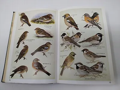 COLLINS POCKET GUIDE To BRITISH BIRDS By R.S.R.FITTER & R.A.RICHARDSON 1957 • £12.99