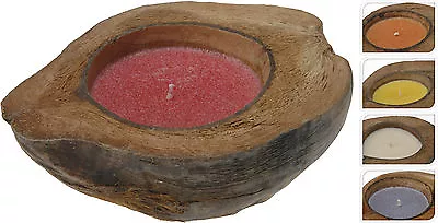 Coconut Shell Scented Candle - 4 Different Scented Candles To Choose From • £6.25