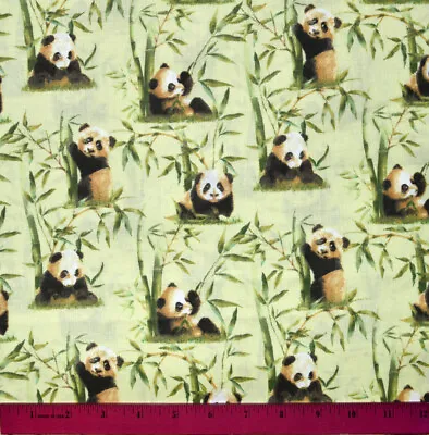 $6.98 • Buy Panda Bear Fabric - HALF YARD - 100% Cotton Sewing Quilting Cute Baby Cubs Green