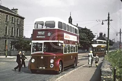 PHOTO Edinburgh Leyland PD2 516 LWS516 In 1955 - Jun - Geoffrey Morant • £1.99