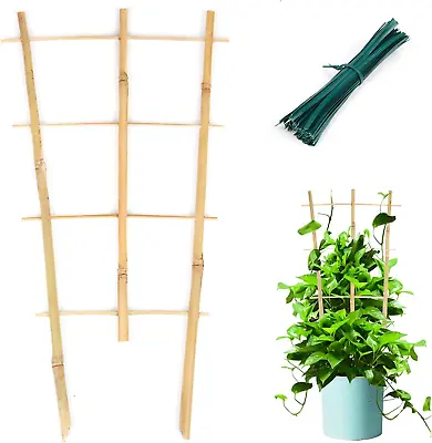3 Pack Min Bamboo Trellis 16 In Fan -Shaped Plant Support Trellis With Twist Tie • £17.72