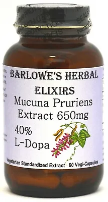 MUCUNA PRURIENS (White) Extract 40% L-Dopa - Stearate Free Bottled In Glass! • $17.95