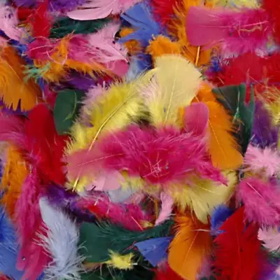 10g Craft Feathers - Mixed Colours - Down Feathers - Kids Arts & Crafts • £2.95