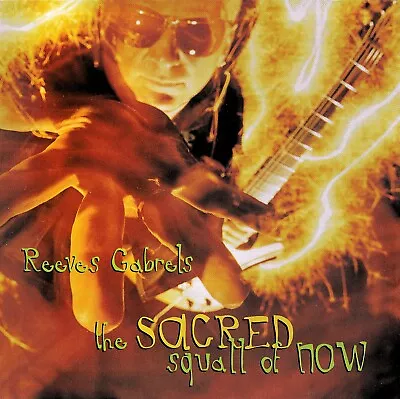 Reeves Gabrels - Sacred Squall Of Now Rare David Bowie CD • £5