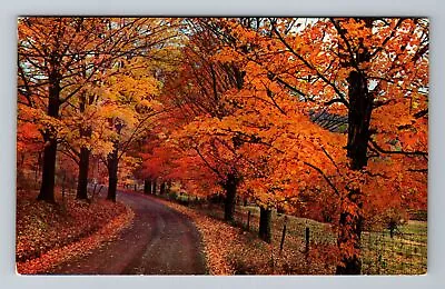 Road Traveling Through Autumn Foliage Creator's Handiwork Vintage Postcard • $7.99