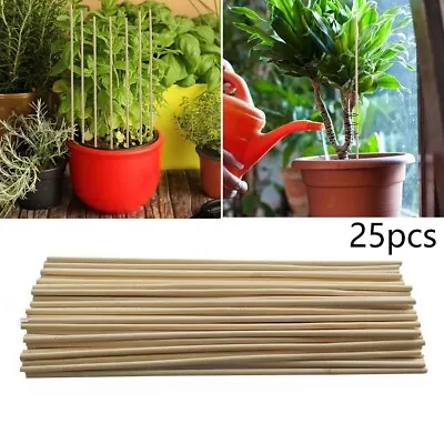 25Pcs/set Bamboo Canes Stake Garden Plant Flower Support Stick Cane Pole DIY • £3.29